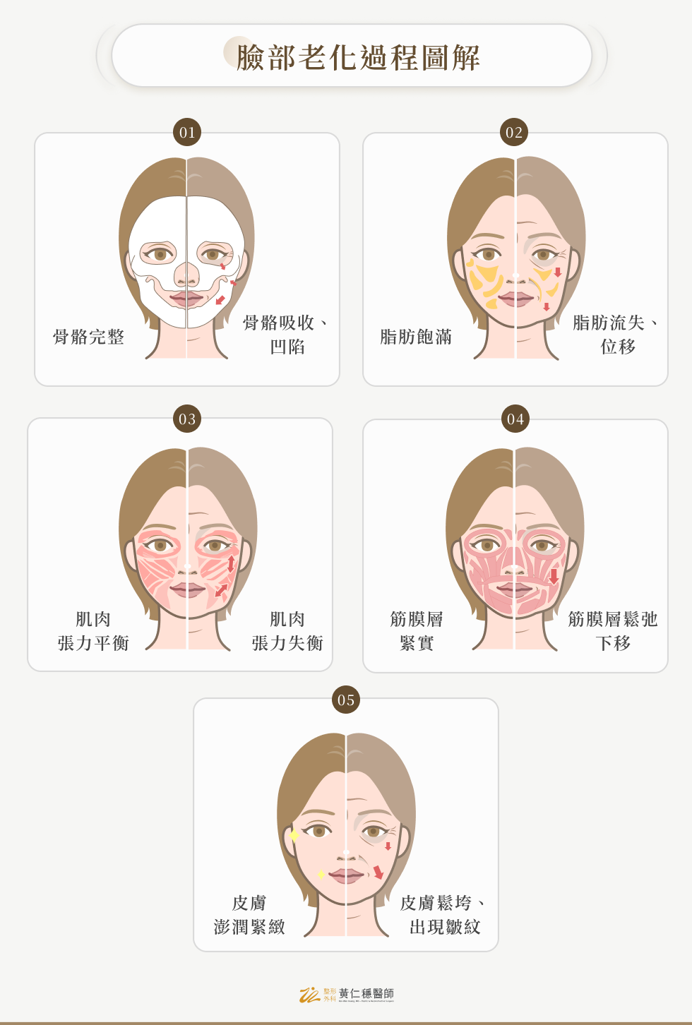 臉部老化過程圖解